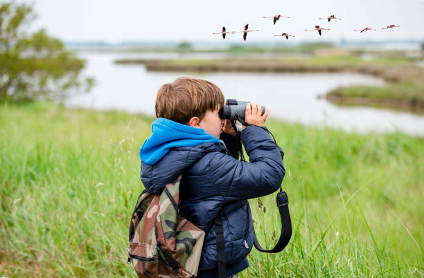 Bird Watching