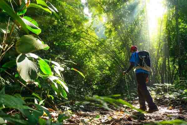 Trekking & Hiking